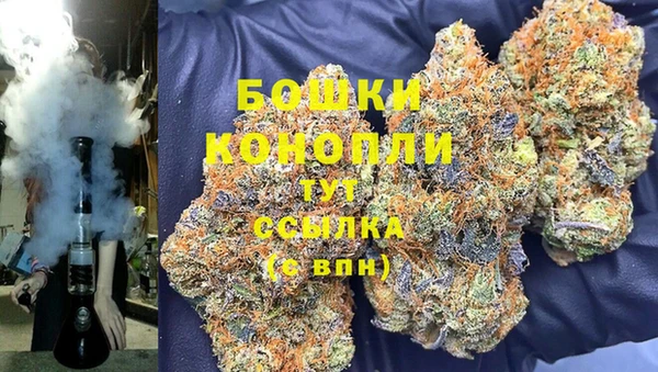 mdpv Богородск