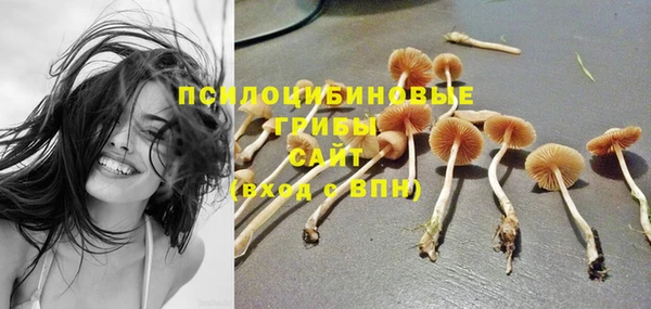 наркотики Богородицк