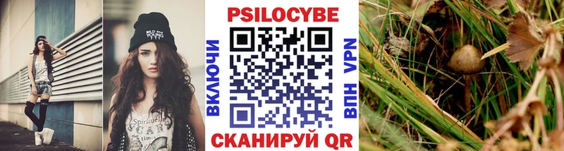 kraken как войти  Малая Вишера  Псилоцибиновые грибы GOLDEN TEACHER 